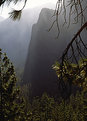Picture Title - Yosemite Mist