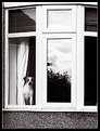 Picture Title - neighbourhood watch