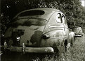 Picture Title - OLd 1940's Autos on way to restoration or doom?