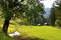 Picture Title - Austrian landscape 01