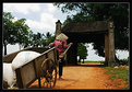 Picture Title - Country lane