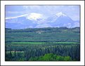 Picture Title - Alberta Scenic View