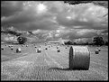 Picture Title - infrared bales