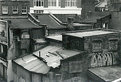 Picture Title - Roofs