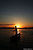 .:: Fishing under sunset (2) ::.