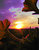 MY sunset
