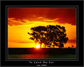 Picture Title - To Catch The Sun