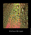 Picture Title - ColourDrops