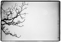 Picture Title - Twigs
