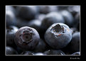 Picture Title - Blueberries 3