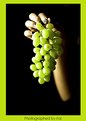 Picture Title - Green Grape 
