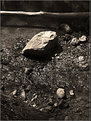 Picture Title - Rock in the stream