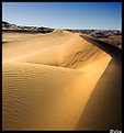 Picture Title - Dune
