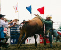 Picture Title - 2005 Rodeo