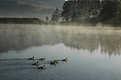 Picture Title - The Mist Is Lifting