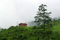 Picture Title - sweet home