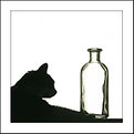 Picture Title - Trasparenze VI