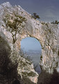 Picture Title - arco