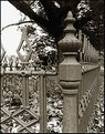 Picture Title -  Steele Fence around Old Grave