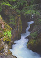Picture Title - Avalanche Creek