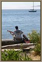 Picture Title - Serenading the Sea