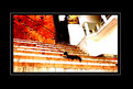 Picture Title - Take It Easy!