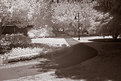 Picture Title - Library Path IR