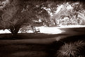 Picture Title - His Rocking Chair IR