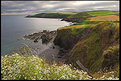 Picture Title - Ballycotton Cliffs