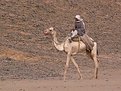 Picture Title - A bedouin