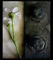 Picture Title - us and them