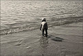 Picture Title - The child & the sea