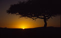 Picture Title - Masai Sunrise