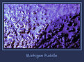 Picture Title - Michigan Puddle