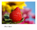 Picture Title - strawberry