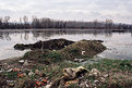 Picture Title - The banks of the river Danube