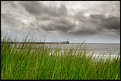 Picture Title - Blyth Pier