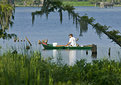 Picture Title - The White Bucket