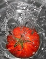 Picture Title - Tomato Splash