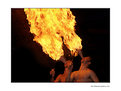 Picture Title - [ Fire ]