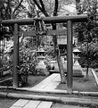 Picture Title - Torii