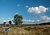 Bike, Tree & Blue Sky