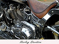 Picture Title - Harley Davidson