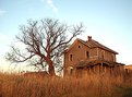 Picture Title - Deserted Home/Ion