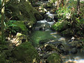 Picture Title - Downstream