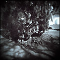 Picture Title - The Toy Tree