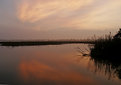 Picture Title - A New Day