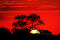 Picture Title - .:: Under a blody red sky ::.