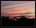 Picture Title - skeleton roof