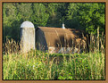 Picture Title - Barn on the Backroad